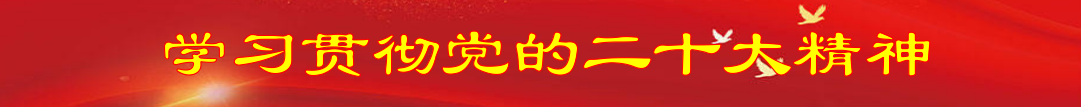 学习贯彻党的二十大精神