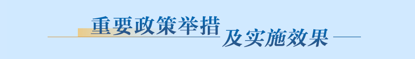重要举措及实施效果