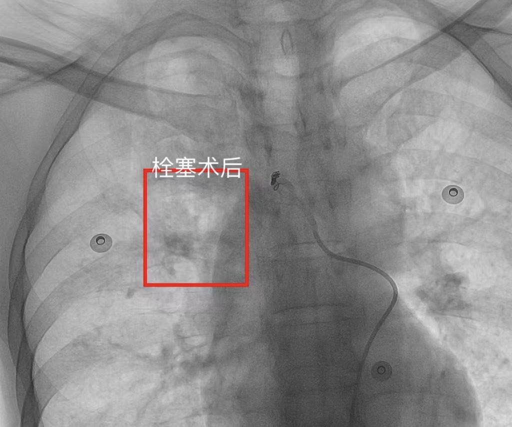 图片5.jpg 图片5.jpg