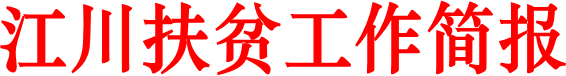 江川扶贫工作简报