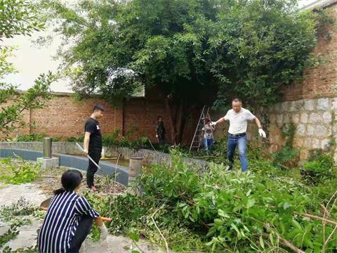 图一  清理整治绿化景观.jpg