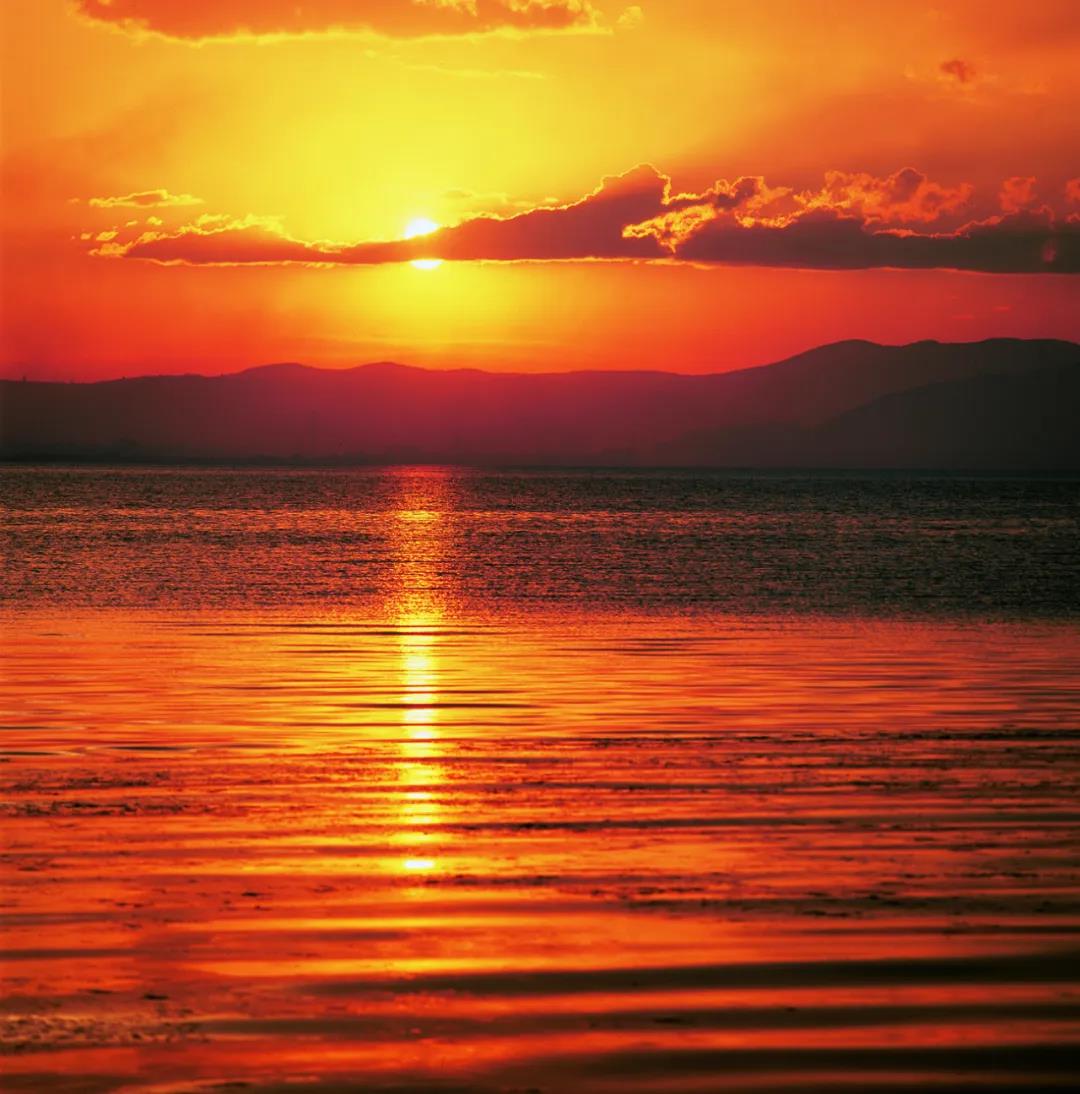 微信图片_20200331105030.jpg 微信图片_20200331105030.jpg