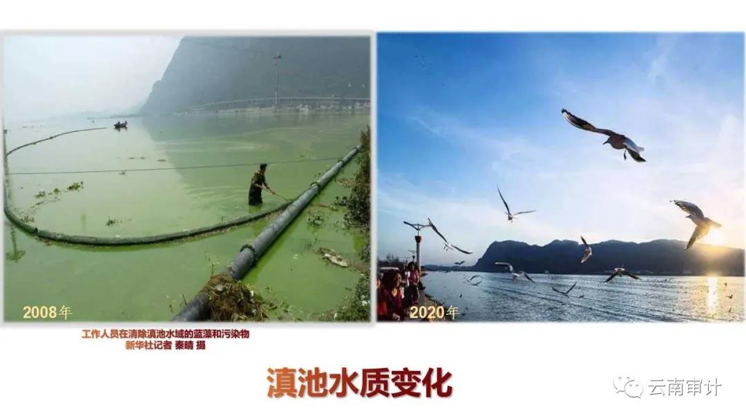 微信图片_20200408102511.jpg