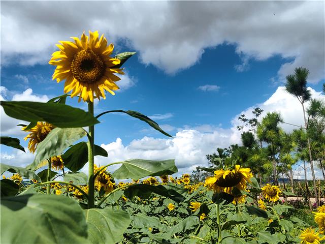 80dd5a322f1e42f1947b48fb0301650e.jpg 80dd5a322f1e42f1947b48fb0301650e.jpg