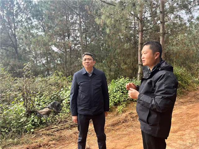 cc8bdabc287e479d9eb5d73f652fa72c.jpg cc8bdabc287e479d9eb5d73f652fa72c.jpg