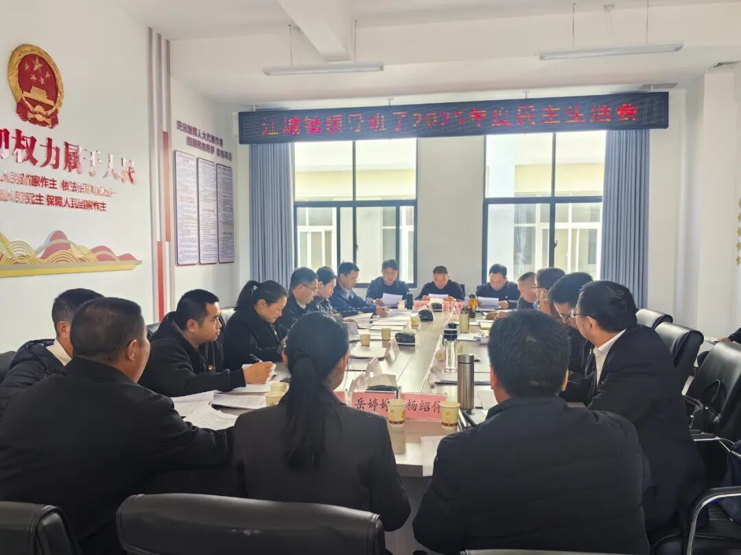 李金到江城镇指导镇领导班子2025年度民主...