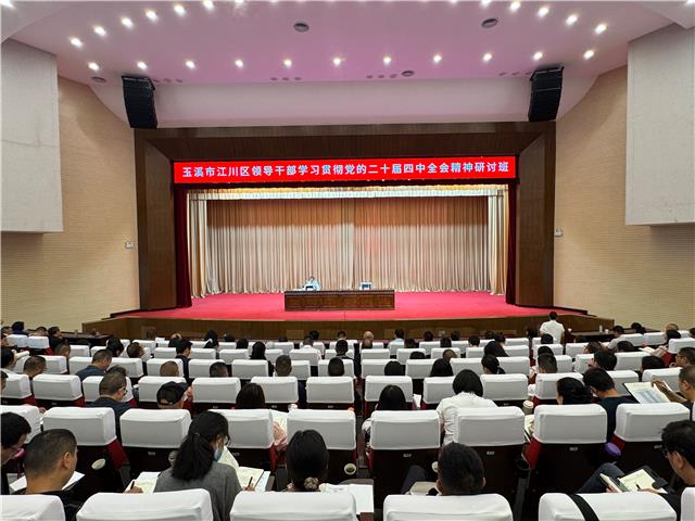 江川区领导干部学习贯彻党的二十届四中全...