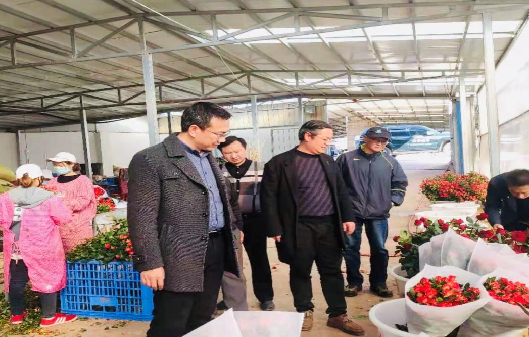 图片2.jpg 图片2.jpg