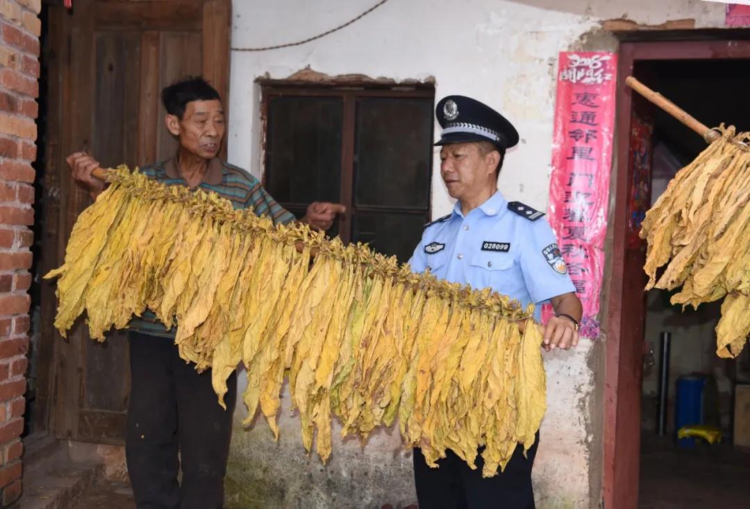 图片6.5.jpg 图片6.5.jpg