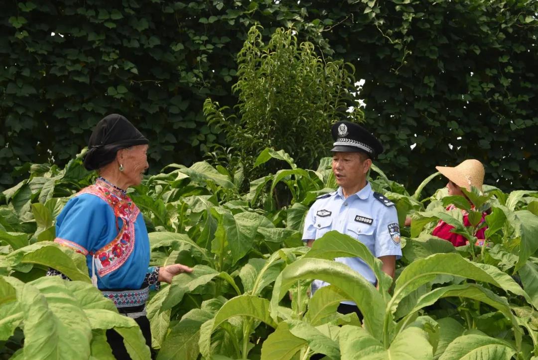图片6.6.jpg 图片6.6.jpg