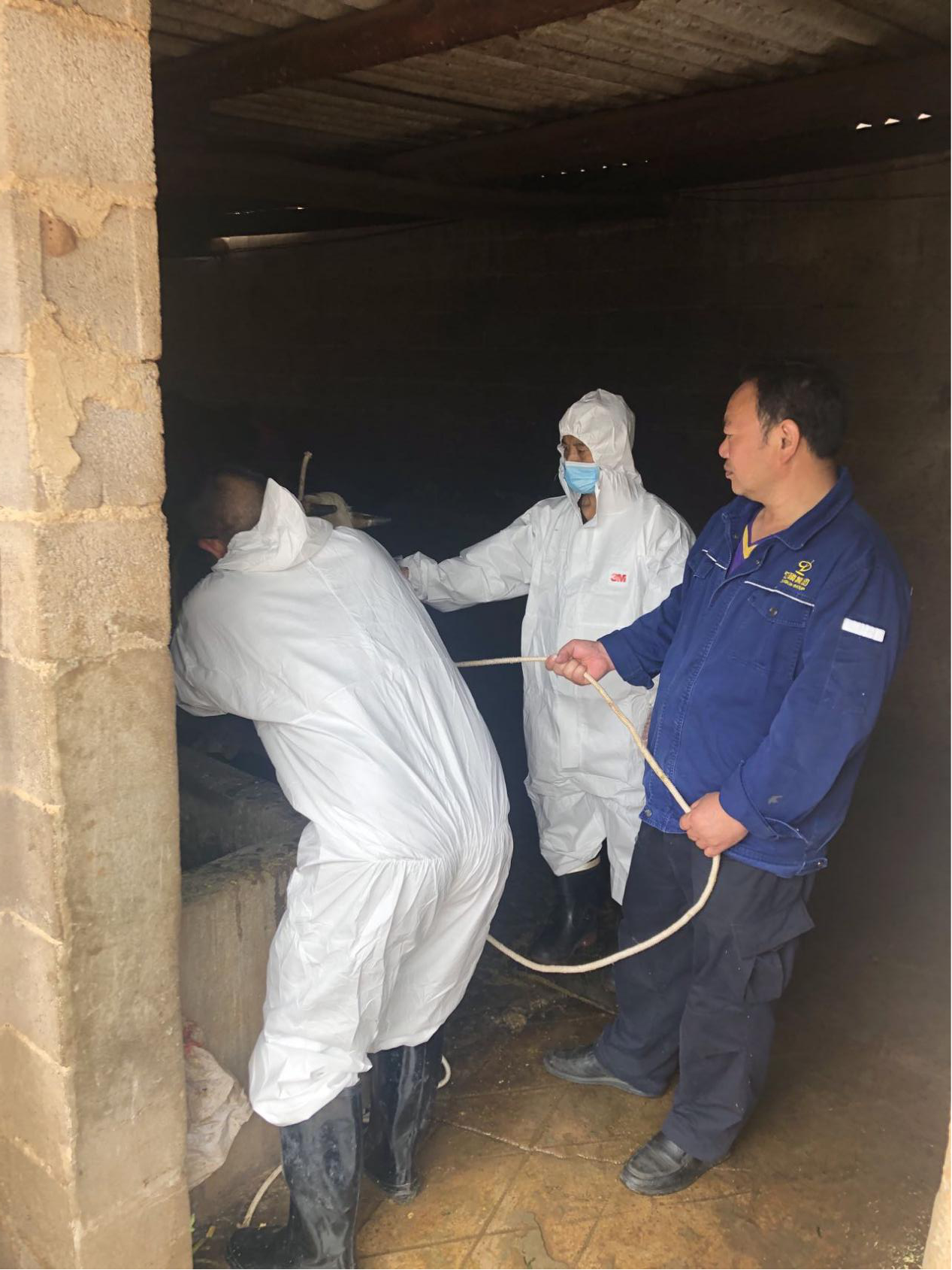 图片1.png 图片1.png