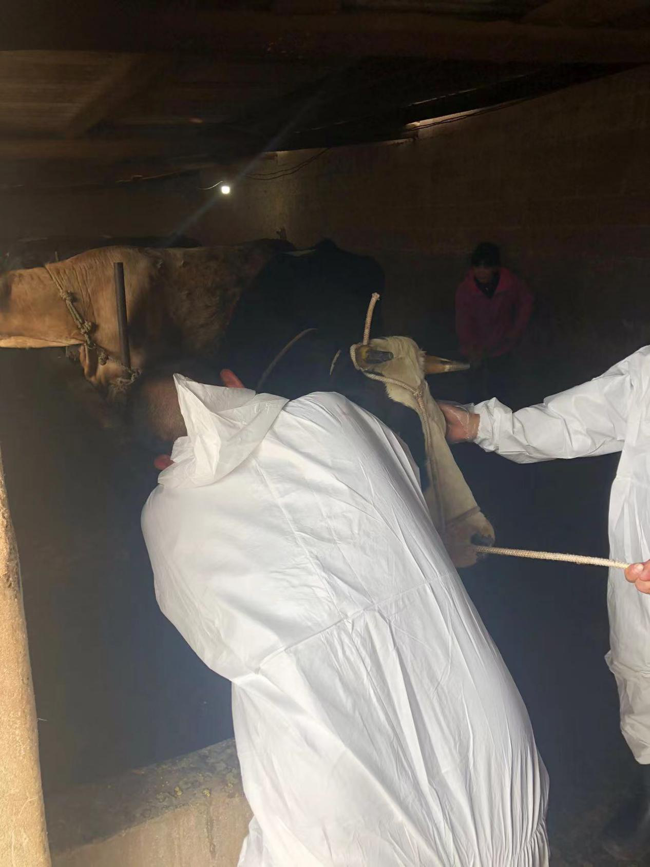 图片2.png 图片2.png