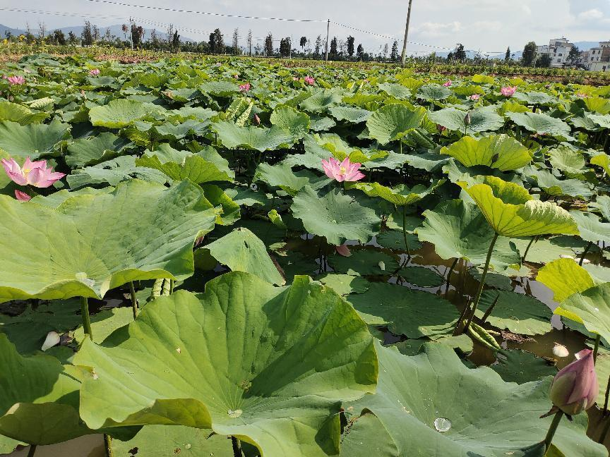 图片3.png 图片3.png