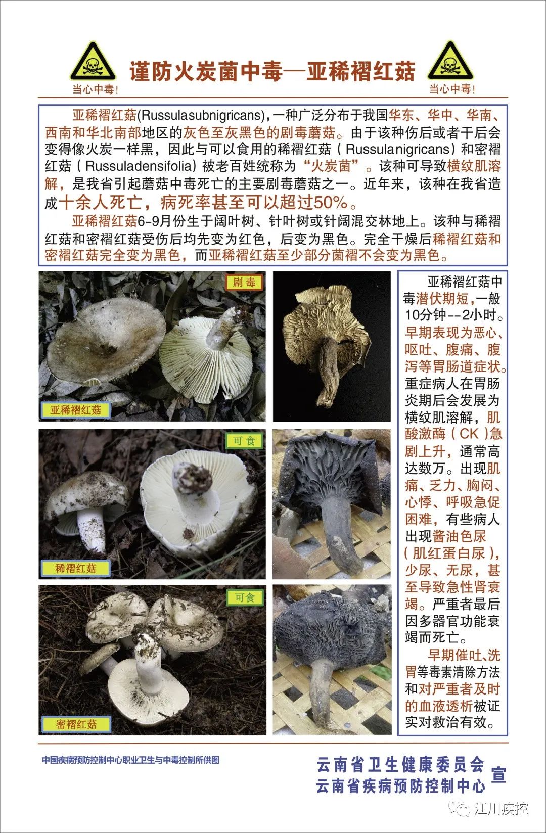 640 (1).jpg 640 (1).jpg