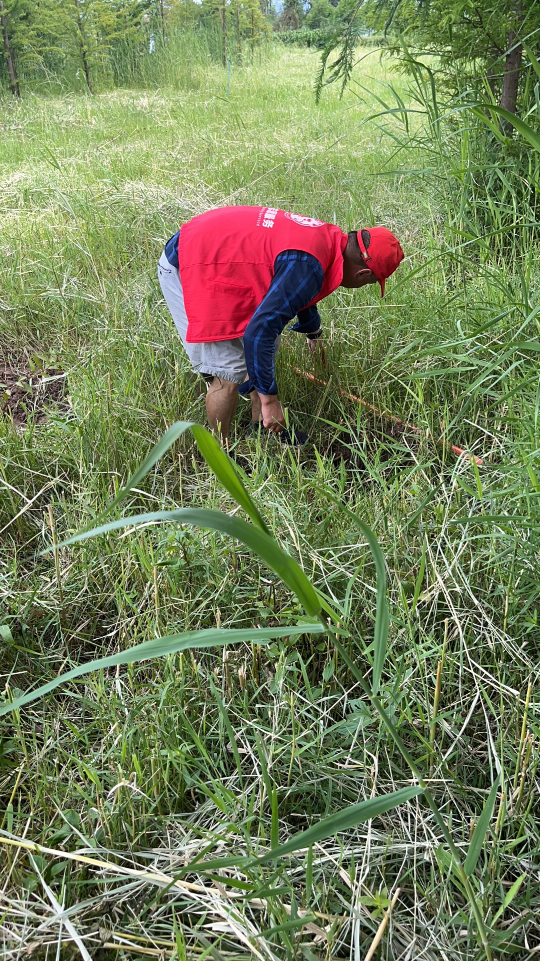 微信图片_20230704180725.jpg 微信图片_20230704180725.jpg