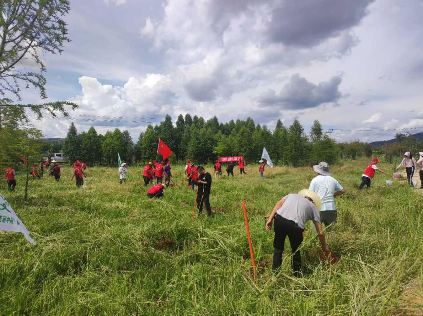 图片3.png 图片3.png