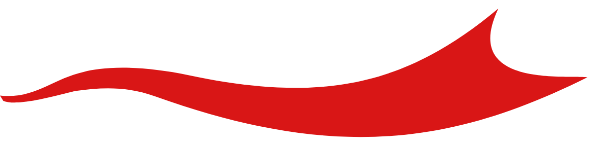 11.png