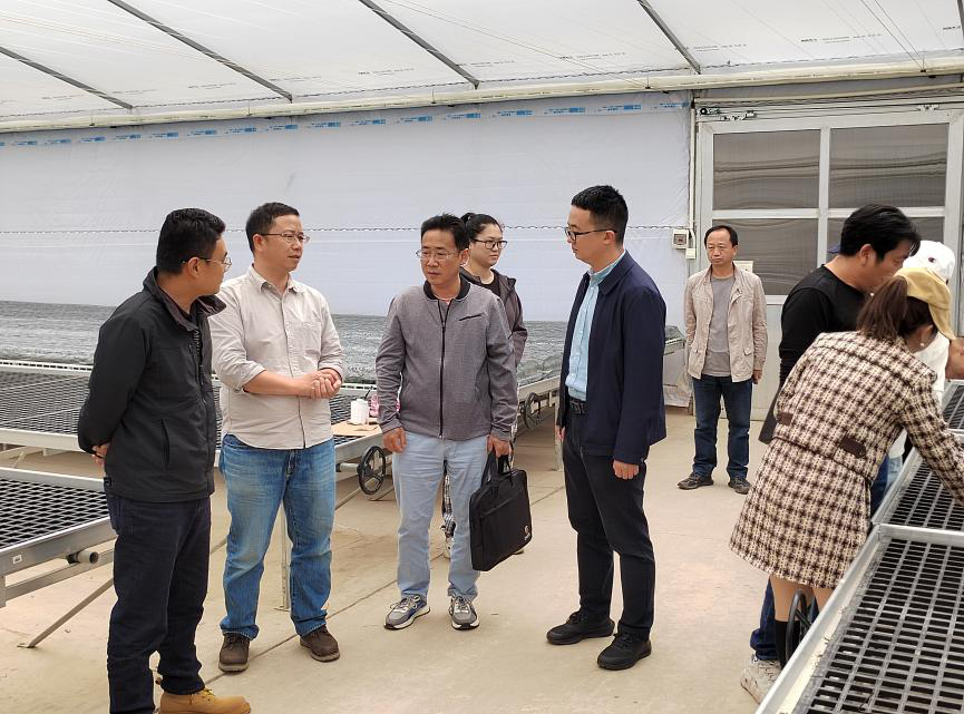 玉溪市统计局党组成员副局长赵光能带队到江川区九溪镇开展统计服务