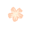 gif.gif