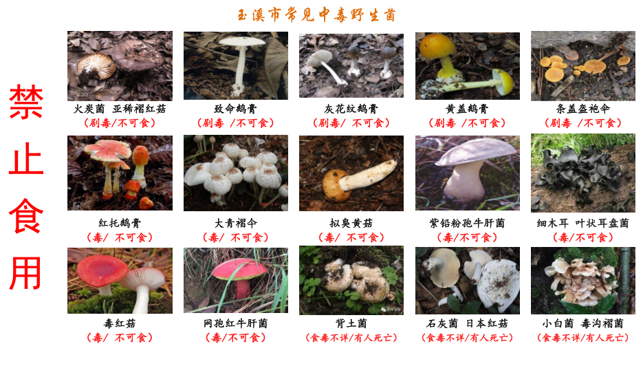 图片17.png 图片17.png