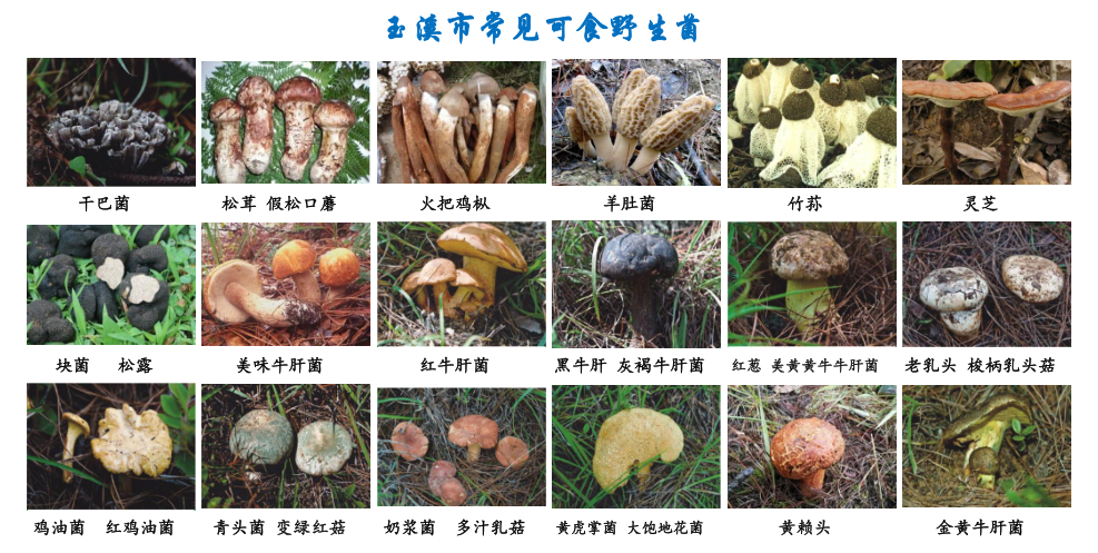 图片18.png 图片18.png