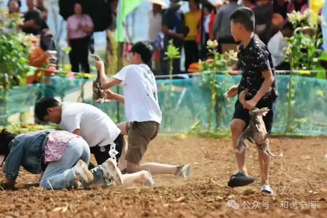 微信图片_20240925111324.jpg 微信图片_20240925111324.jpg