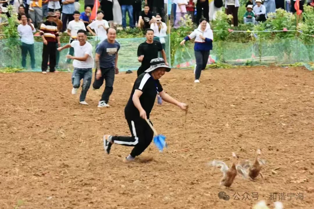 微信图片_20240925111321.jpg