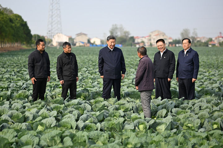 图片5.png 图片5.png