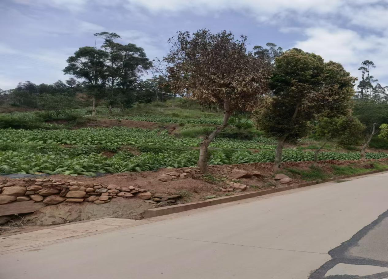 图片2.png 图片2.png