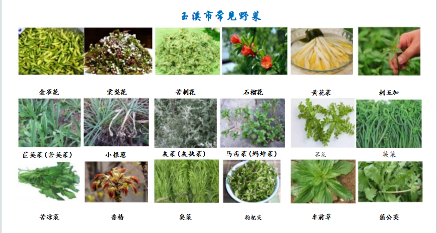 c5fa1461c32c35c2fb842353e62208c9.png c5fa1461c32c35c2fb842353e62208c9.png
