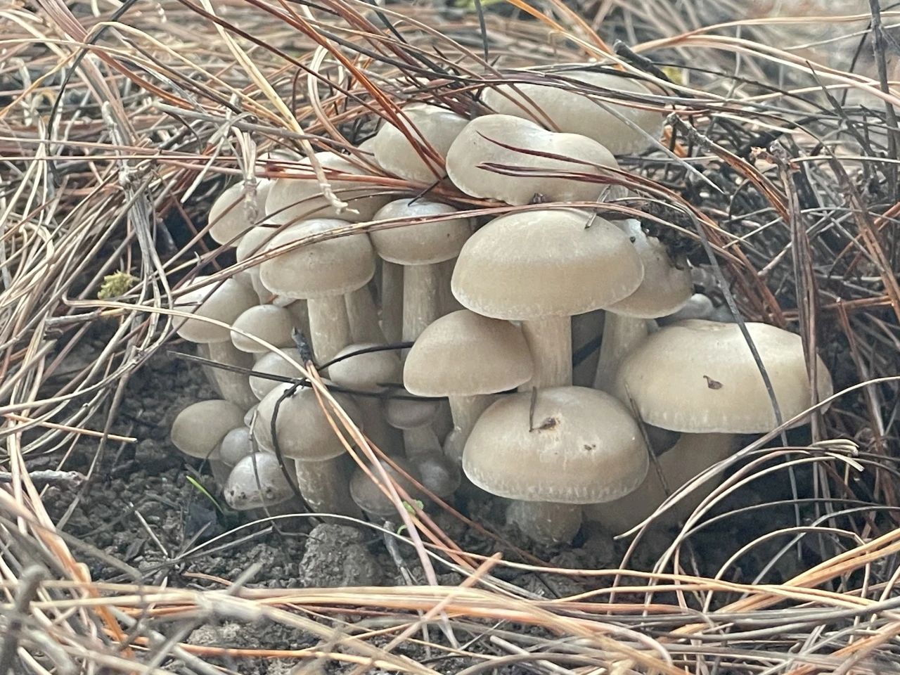 微信图片_20250228152238.jpg 微信图片_20250228152238.jpg