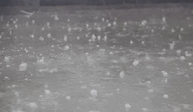 微信图片_20250606162309.gif