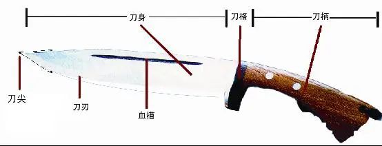 66.jpg