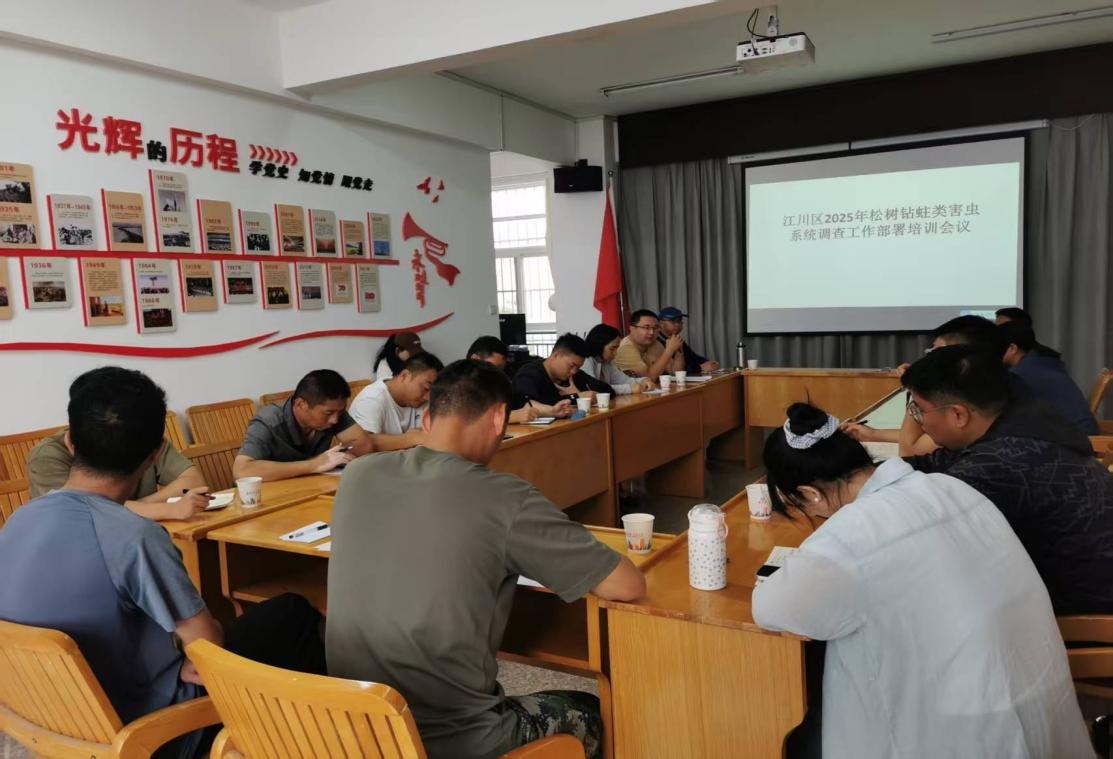 图片1.png 图片1.png