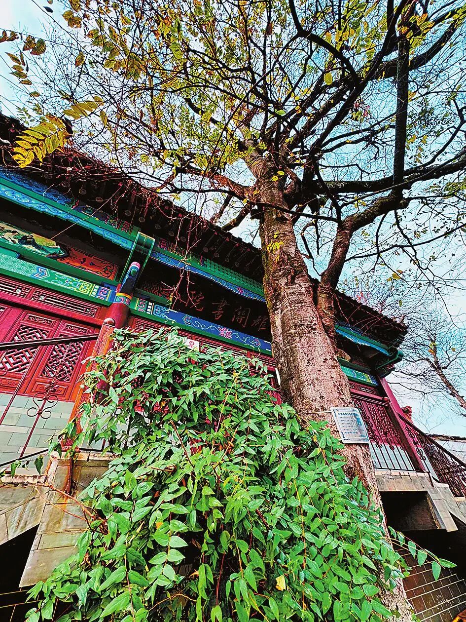 微信图片_2026-01-28_085136_258.jpg 微信图片_2026-01-28_085136_258.jpg