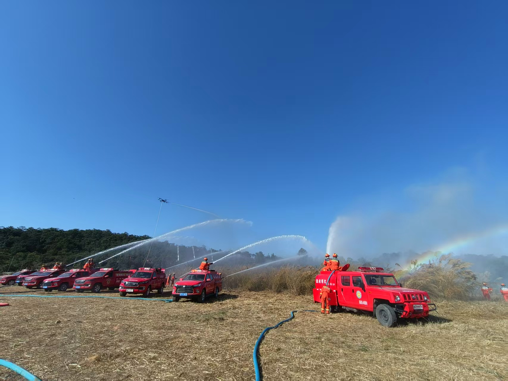 图片10.png 图片10.png