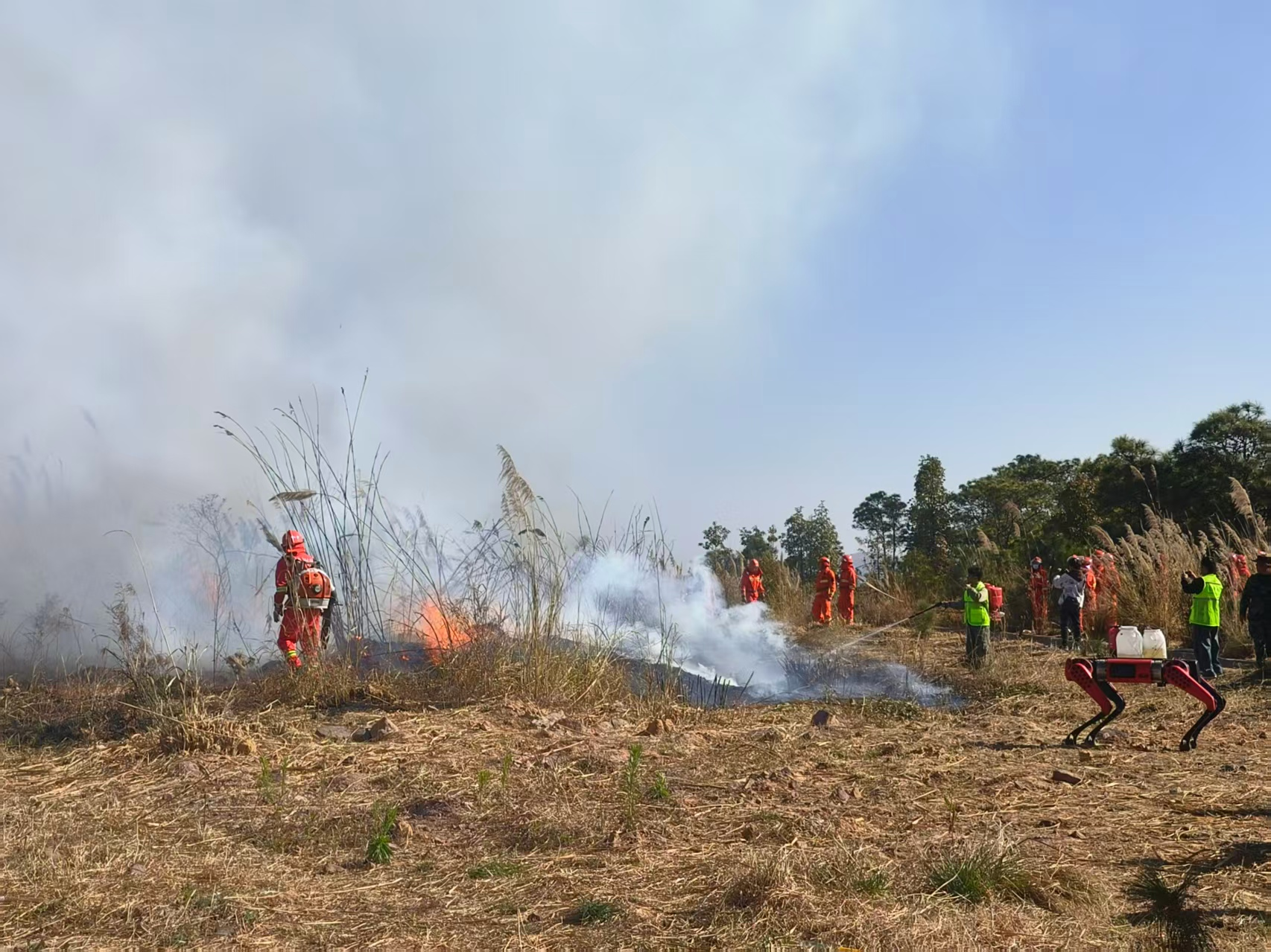 图片11.png 图片11.png