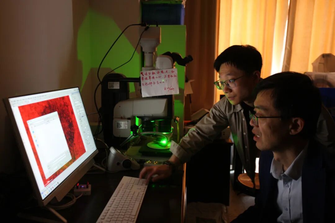 微信图片_2026-04-30_105716_318.jpg 微信图片_2026-04-30_105716_318.jpg