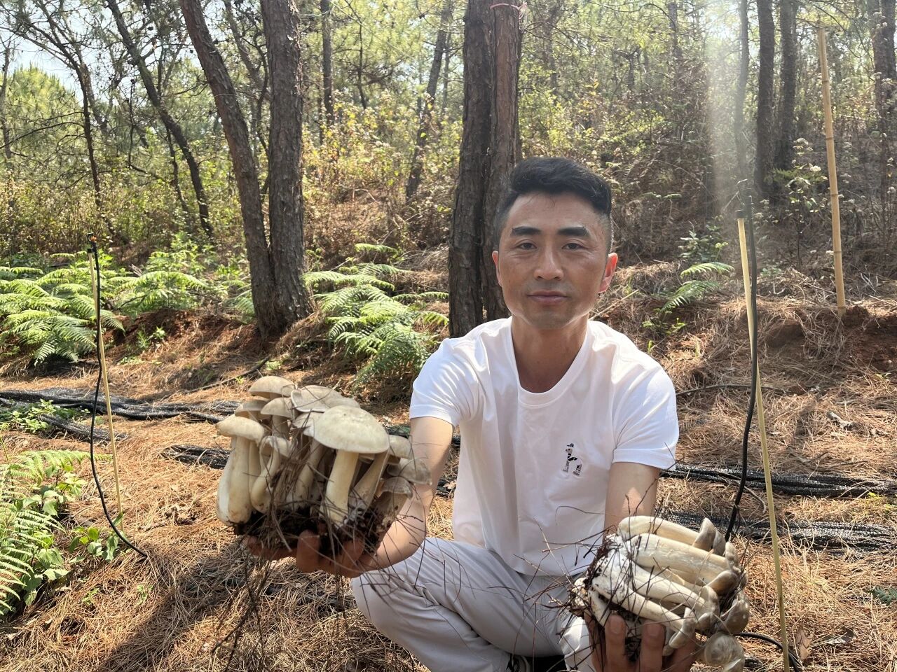 微信图片_2026-05-11_103723_353.jpg